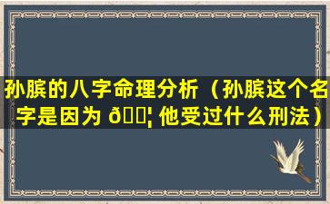 孙膑的八字命理分析（孙膑这个名字是因为 🐦 他受过什么刑法）